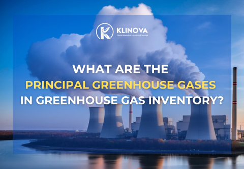 What are the principal greenhouse gases in greenhouse gas inventory?